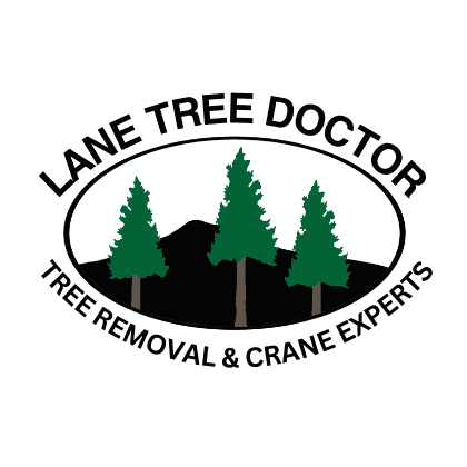 Lane Tree Doctor logo