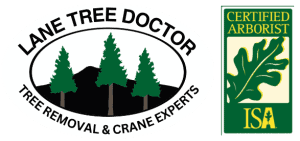 Lane Tree Doctor