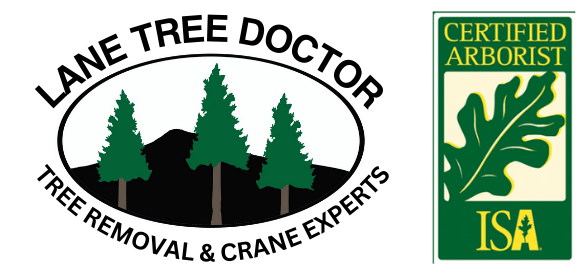 Lane Tree Doctor