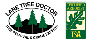The Lane Tree Doctor logo with an ISA certified arborist badge